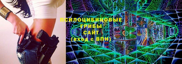 прущий лед Алексин