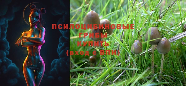 ECSTASY Алзамай
