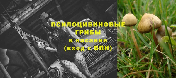 прущий лед Алексин