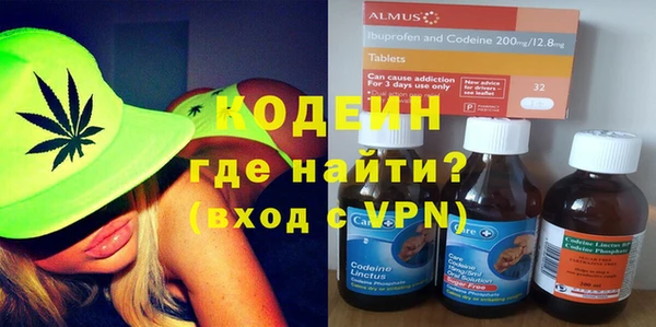 ECSTASY Алзамай