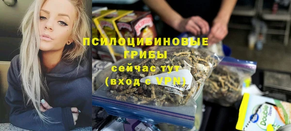 ECSTASY Алзамай