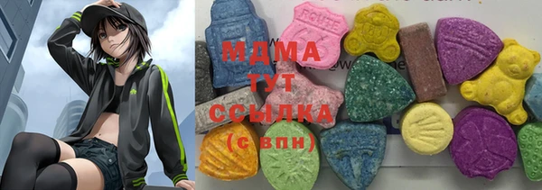 ECSTASY Алзамай