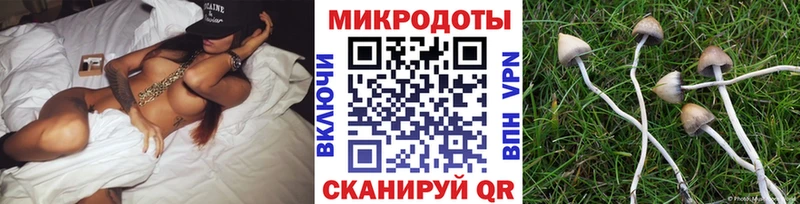 Псилоцибиновые грибы Magic Shrooms  Новошахтинск 