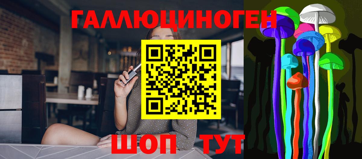Псилоцибиновые грибы Psilocybe Новошахтинск