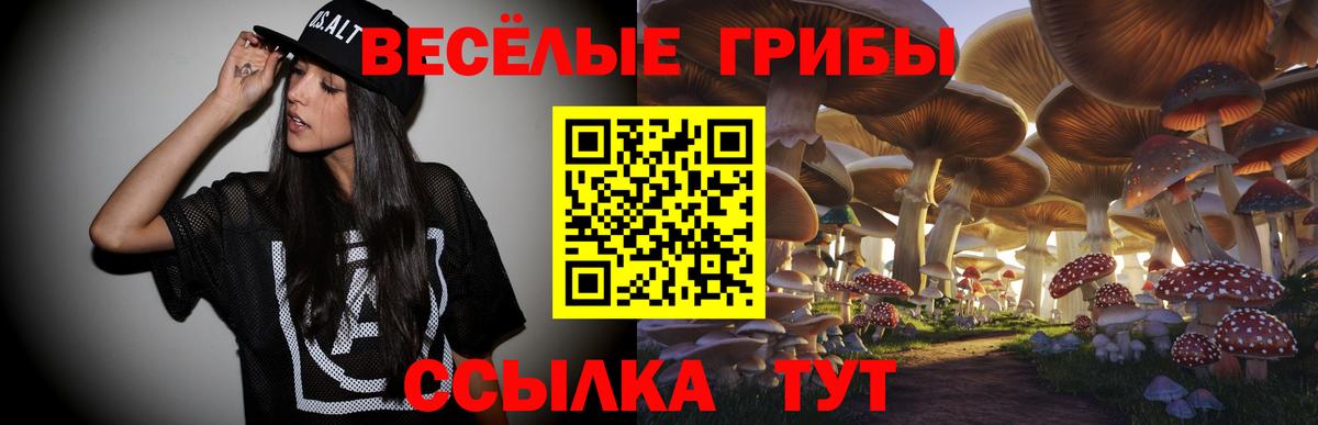 Новошахтинск  Псилоцибиновые грибы мухоморы  Вход с VPN 