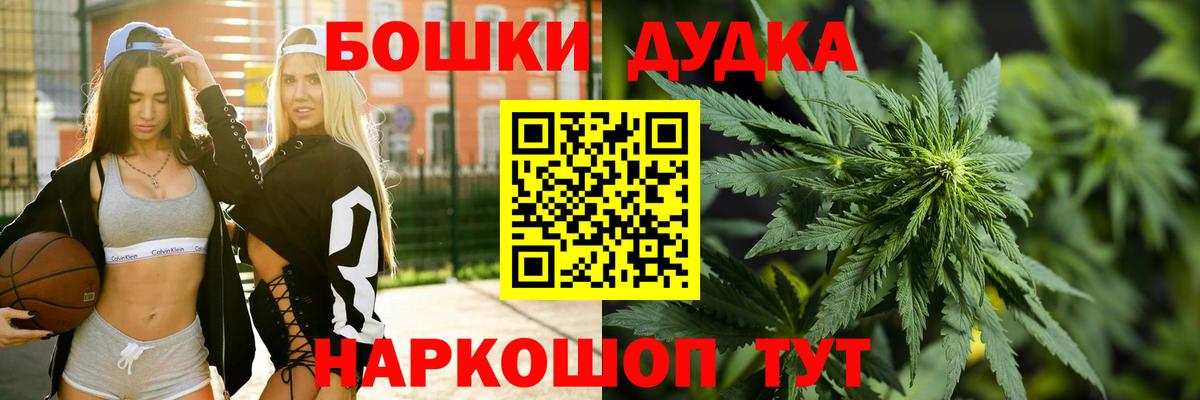 Каннабис индика Новошахтинск